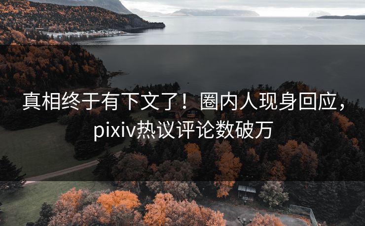 真相终于有下文了！圈内人现身回应，pixiv热议评论数破万