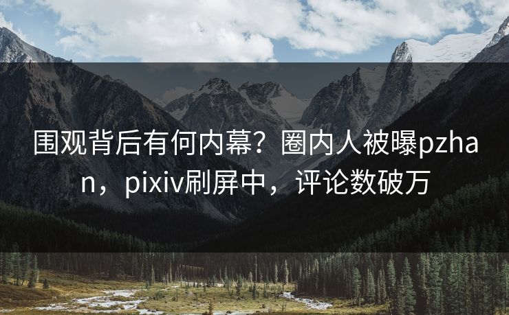 围观背后有何内幕？圈内人被曝pzhan，pixiv刷屏中，评论数破万