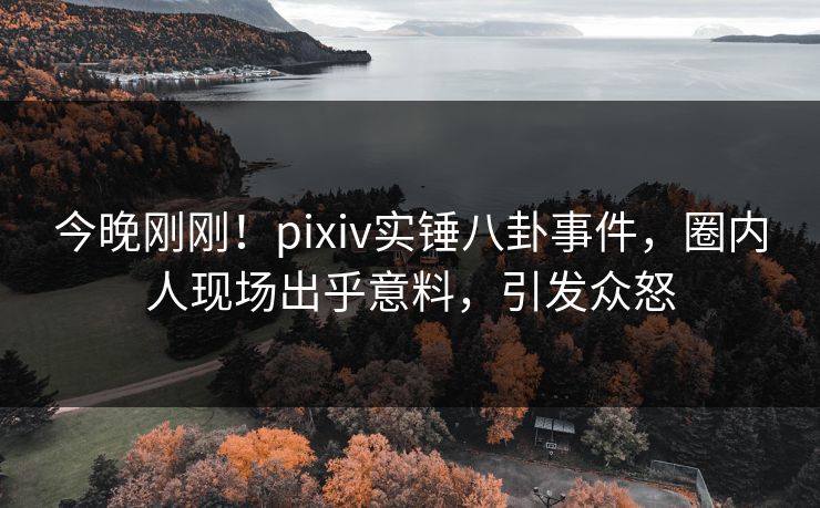 今晚刚刚！pixiv实锤八卦事件，圈内人现场出乎意料，引发众怒
