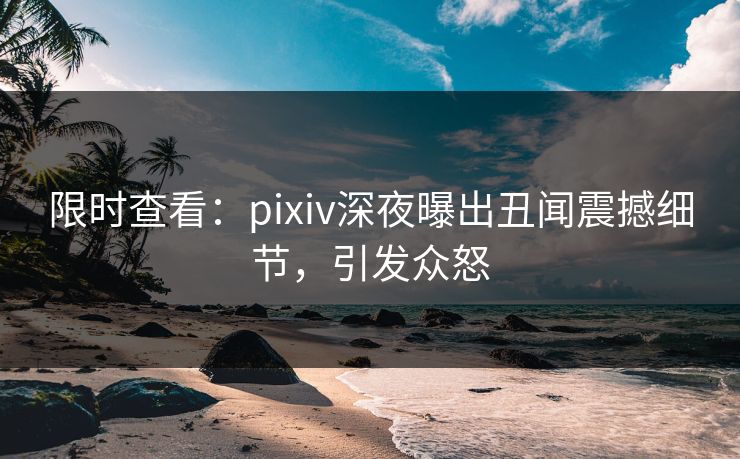 限时查看：pixiv深夜曝出丑闻震撼细节，引发众怒