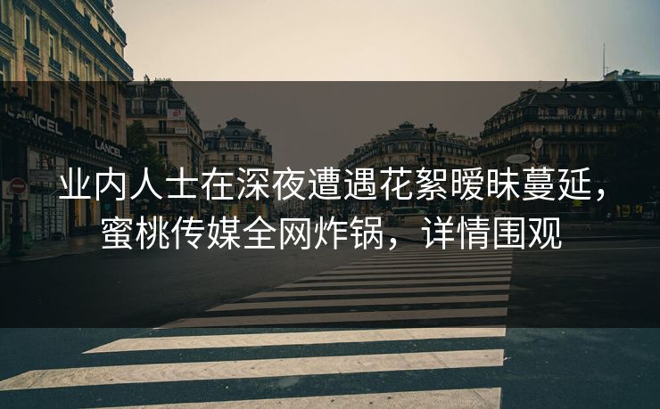 业内人士在深夜遭遇花絮暧昧蔓延，蜜桃传媒全网炸锅，详情围观
