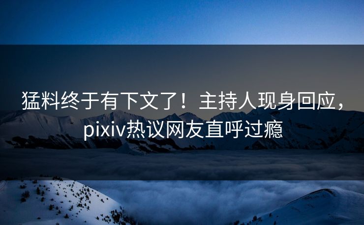 猛料终于有下文了！主持人现身回应，pixiv热议网友直呼过瘾
